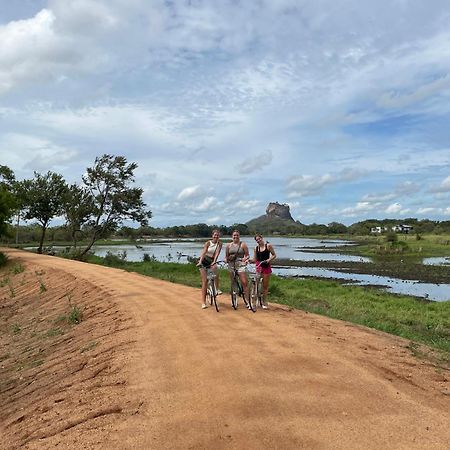 Sigiri Shen Residence Sigiriya Eksteriør billede