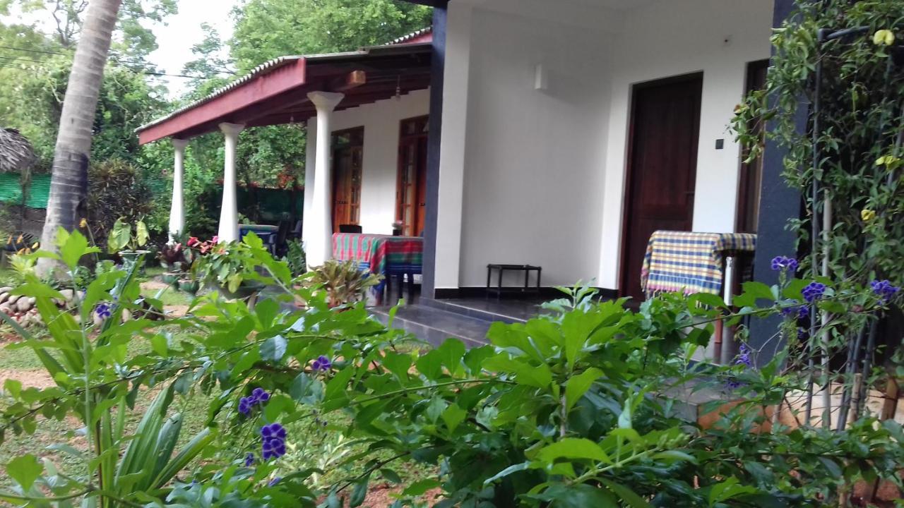 Sigiri Shen Residence Sigiriya Eksteriør billede
