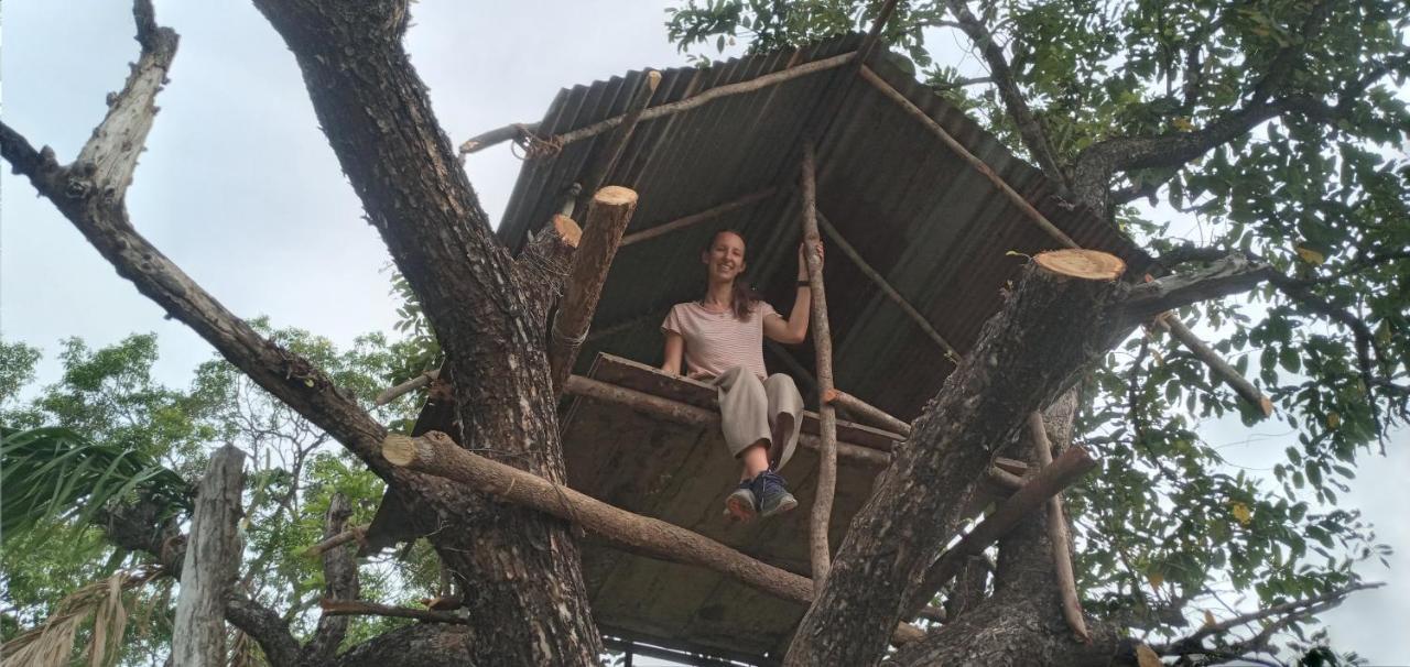 Sigiri Shen Residence Sigiriya Eksteriør billede