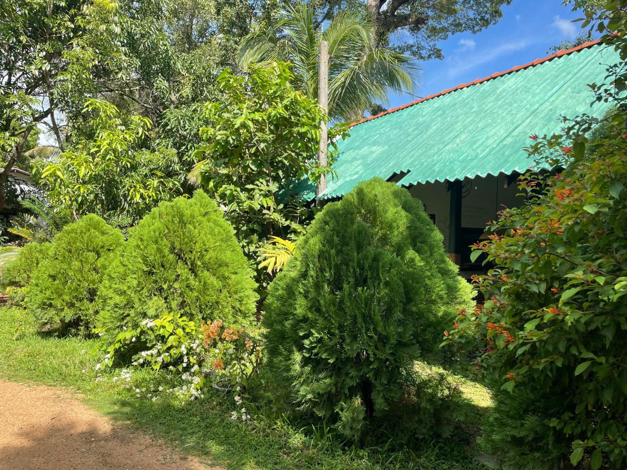 Sigiri Shen Residence Sigiriya Eksteriør billede