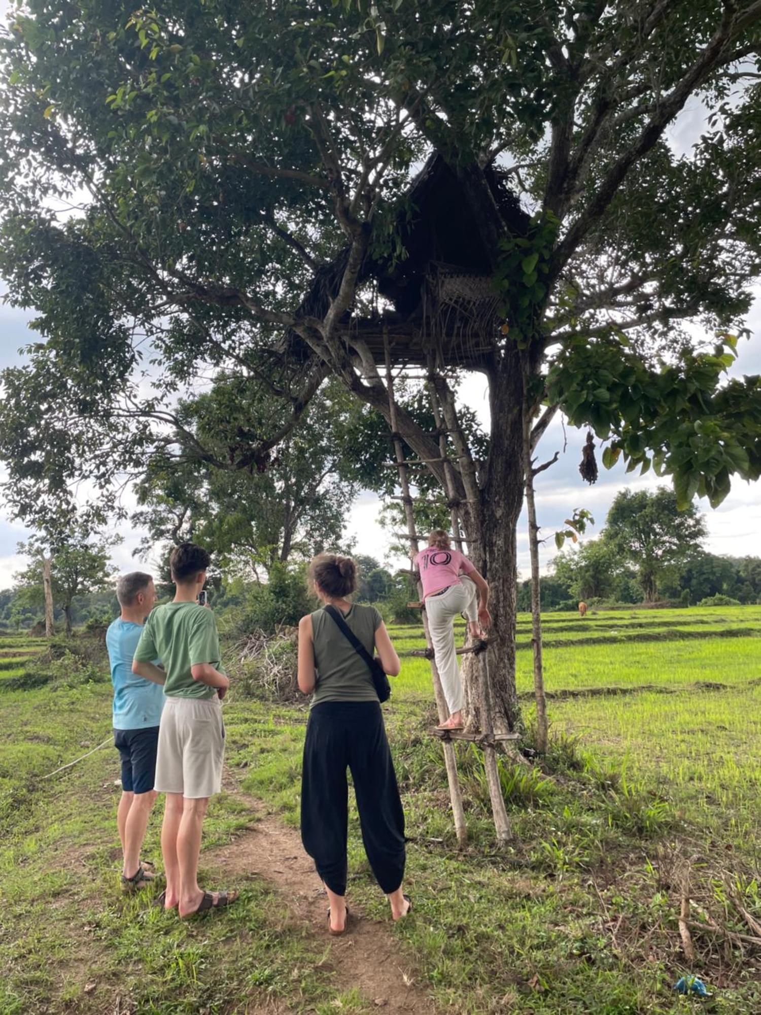Sigiri Shen Residence Sigiriya Eksteriør billede