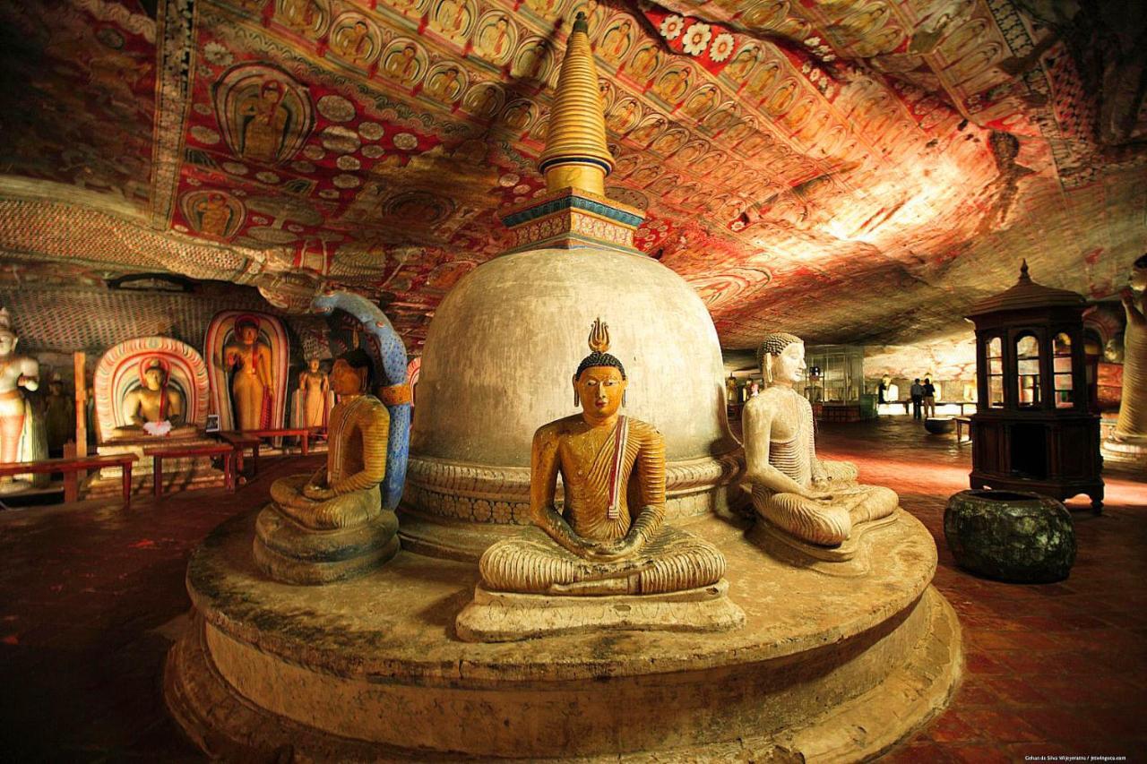 Sigiri Shen Residence Sigiriya Eksteriør billede