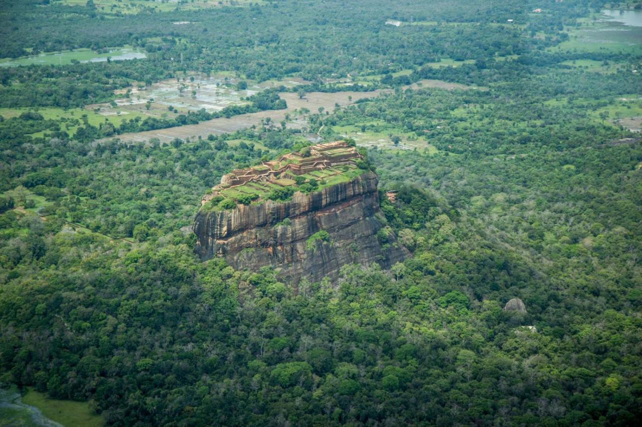 Sigiri Shen Residence Sigiriya Eksteriør billede