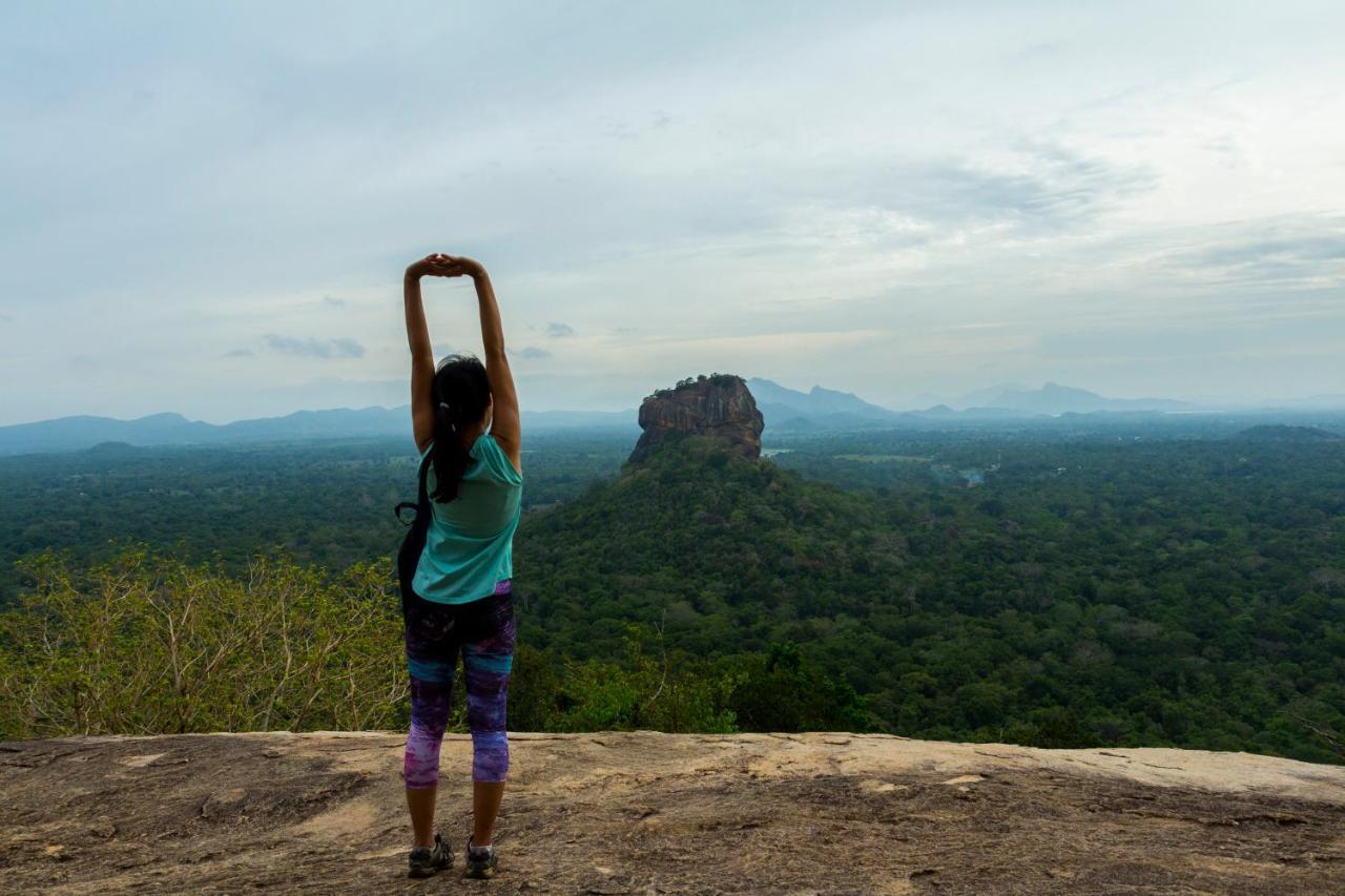 Sigiri Shen Residence Sigiriya Eksteriør billede