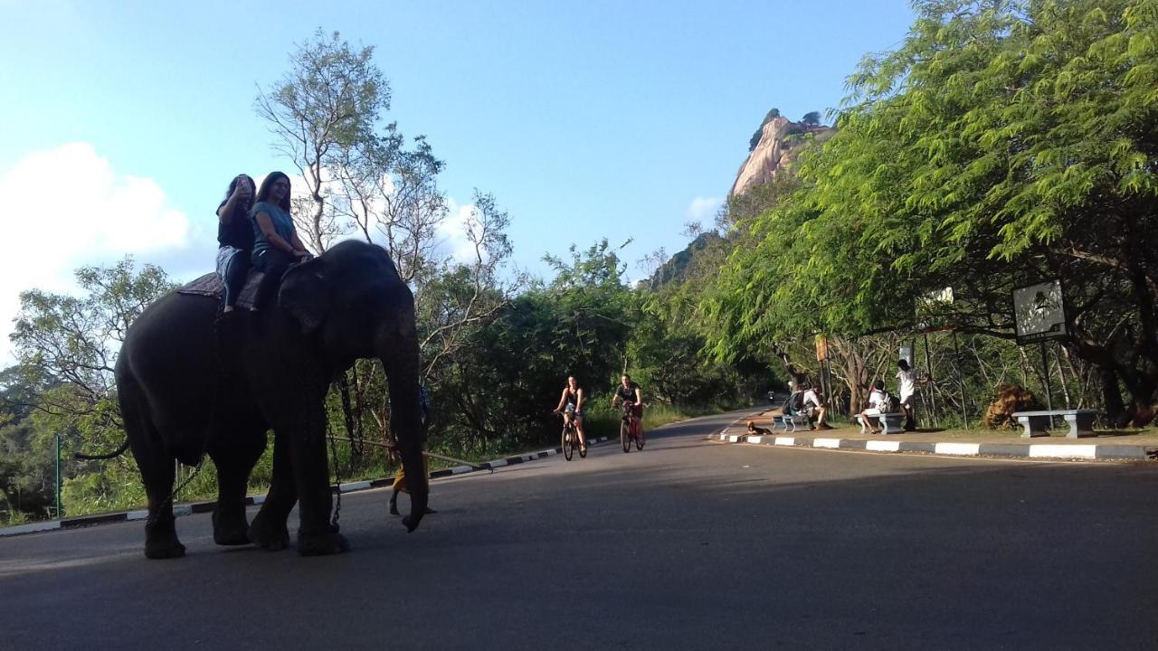 Sigiri Shen Residence Sigiriya Eksteriør billede